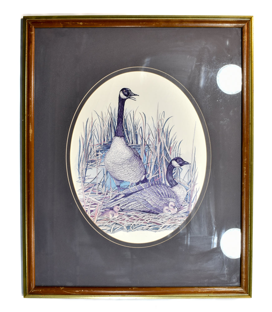 Framed Geese FEATHER ART Picture Ducks Large Geese photo 32x26