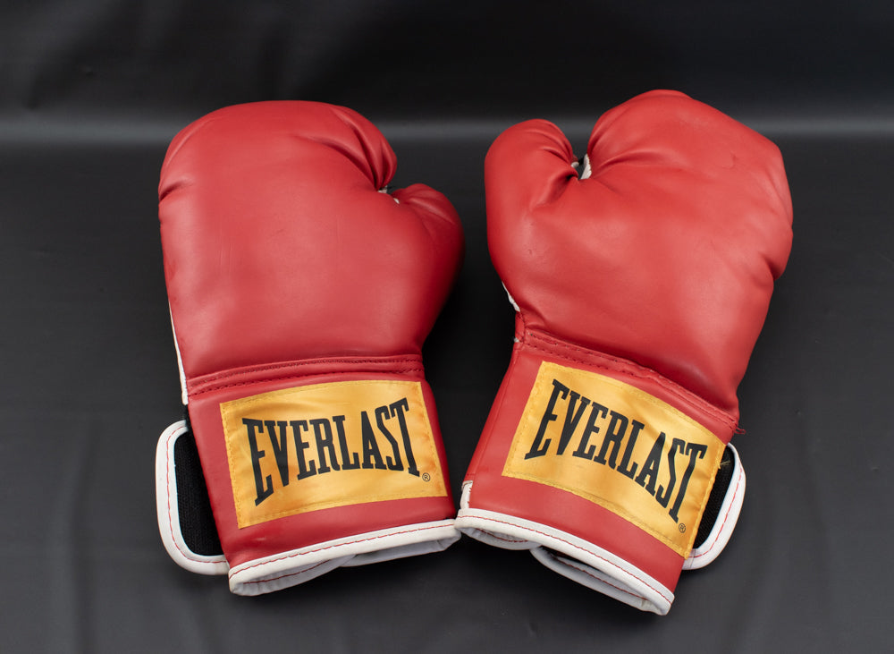 Red Everlast Boxing Gloves Used Adult Heavy Bag Gloves