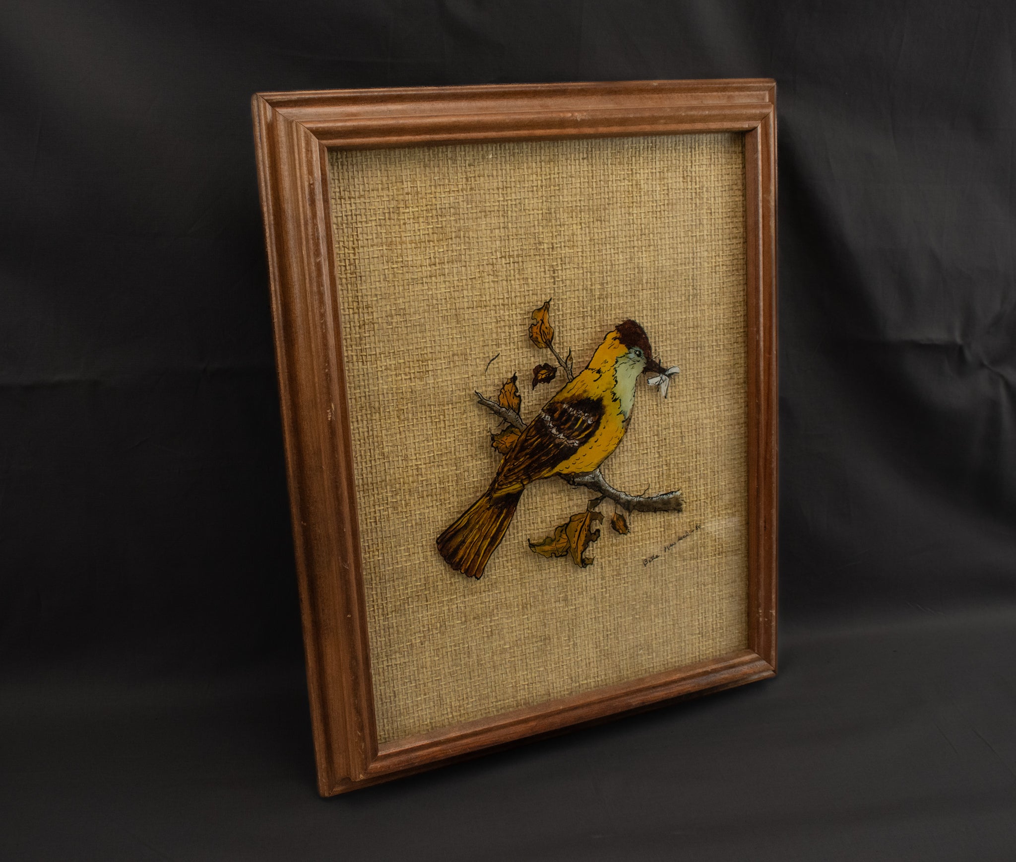 Yellow Bird Framed Glass Art Wall Hanging Vintage Golden Finch Bird Watcher Decor 10x13