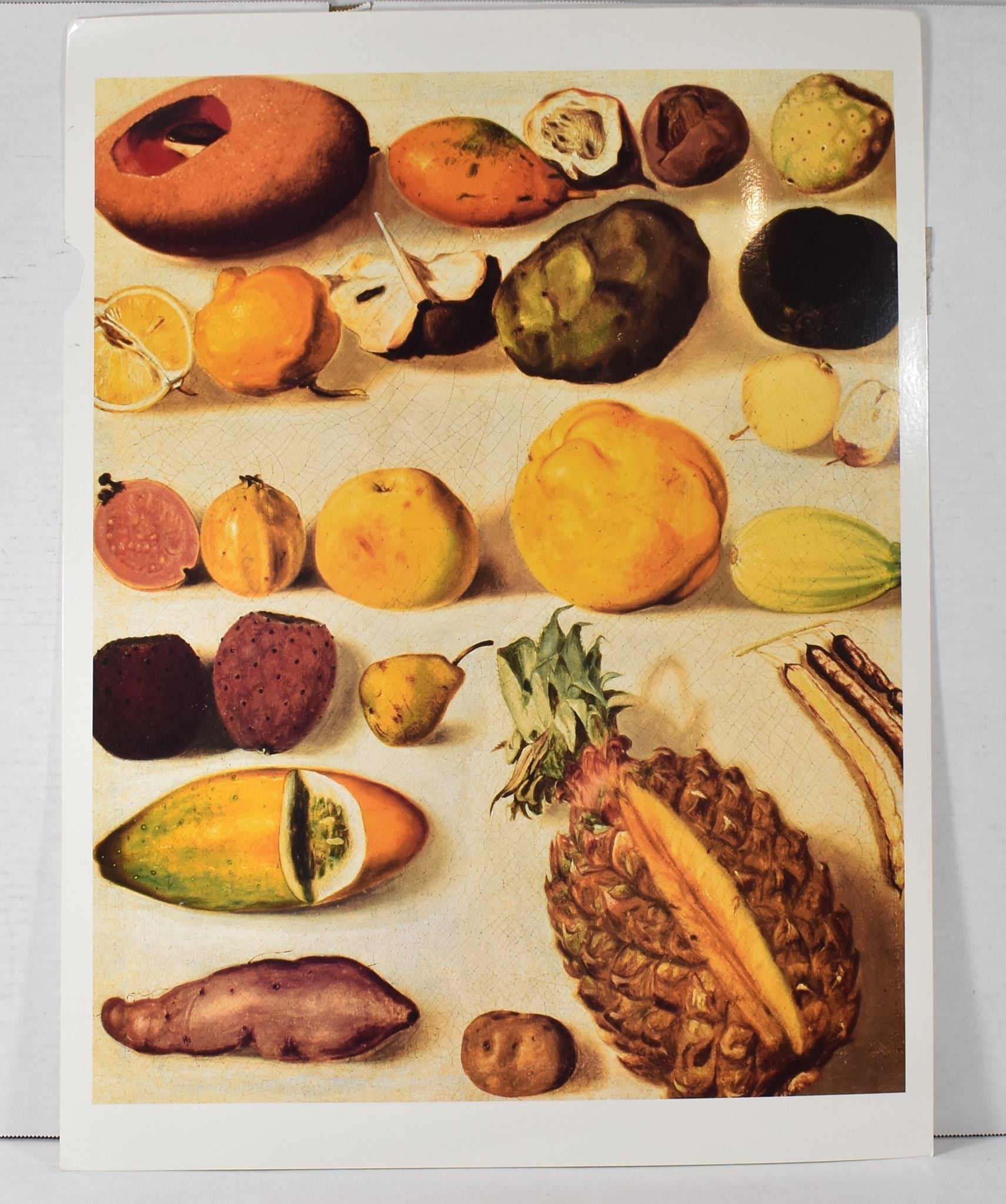 Still life with Pineapple Mango Pear and other Fruit Herm Fine Art Print 3-8