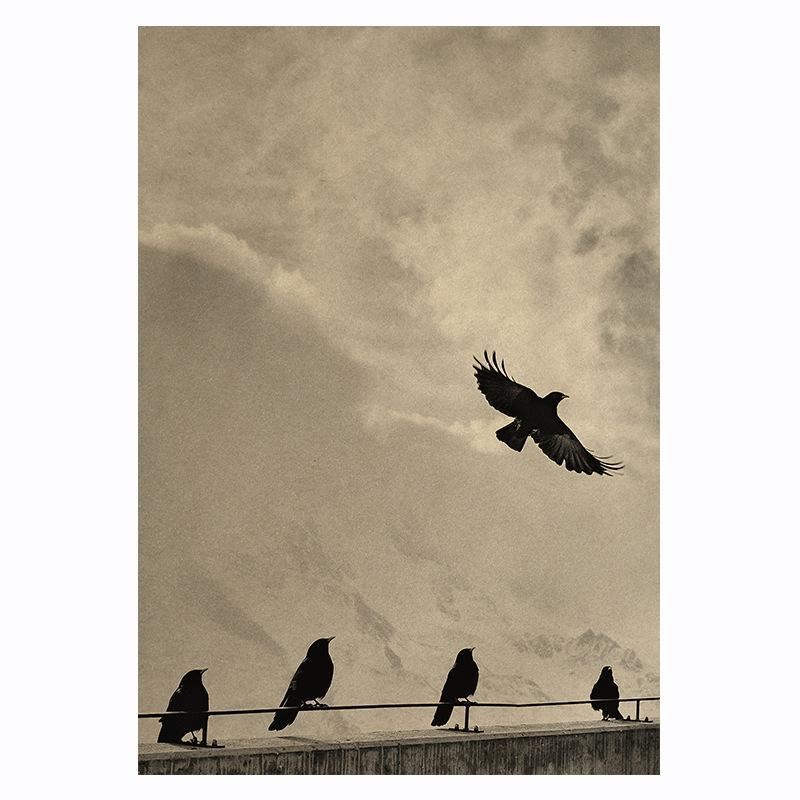 Room decoration flying crow kraft paper poster animal decoration print