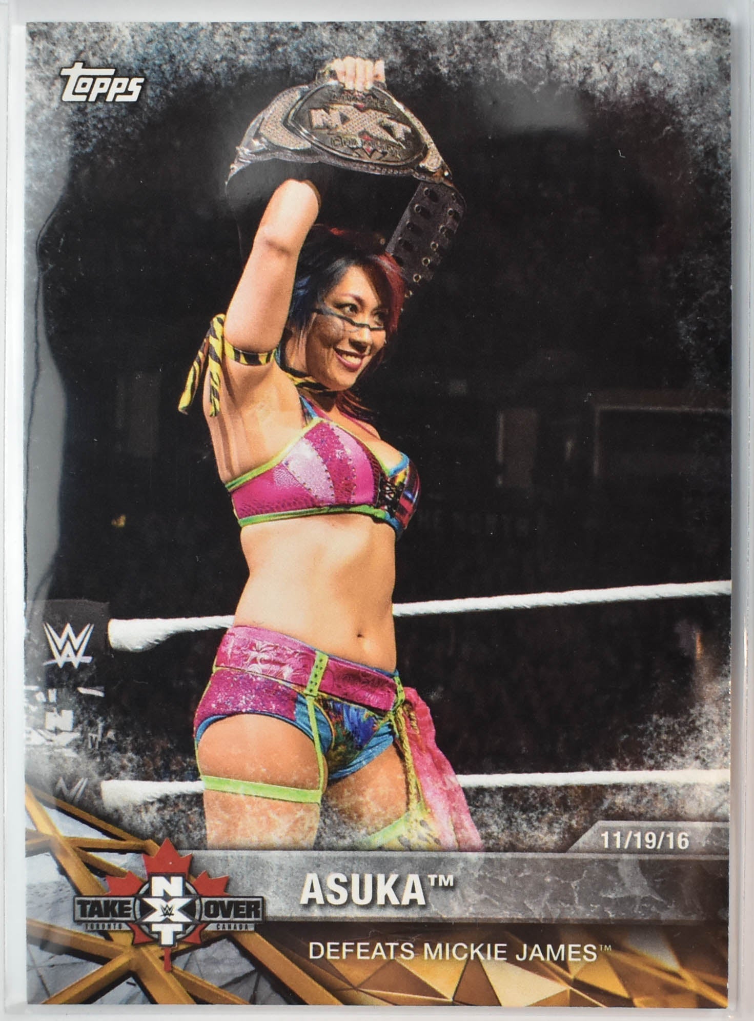 Asuka NXT-24 Take Over WWE 2017 Wrestling Card