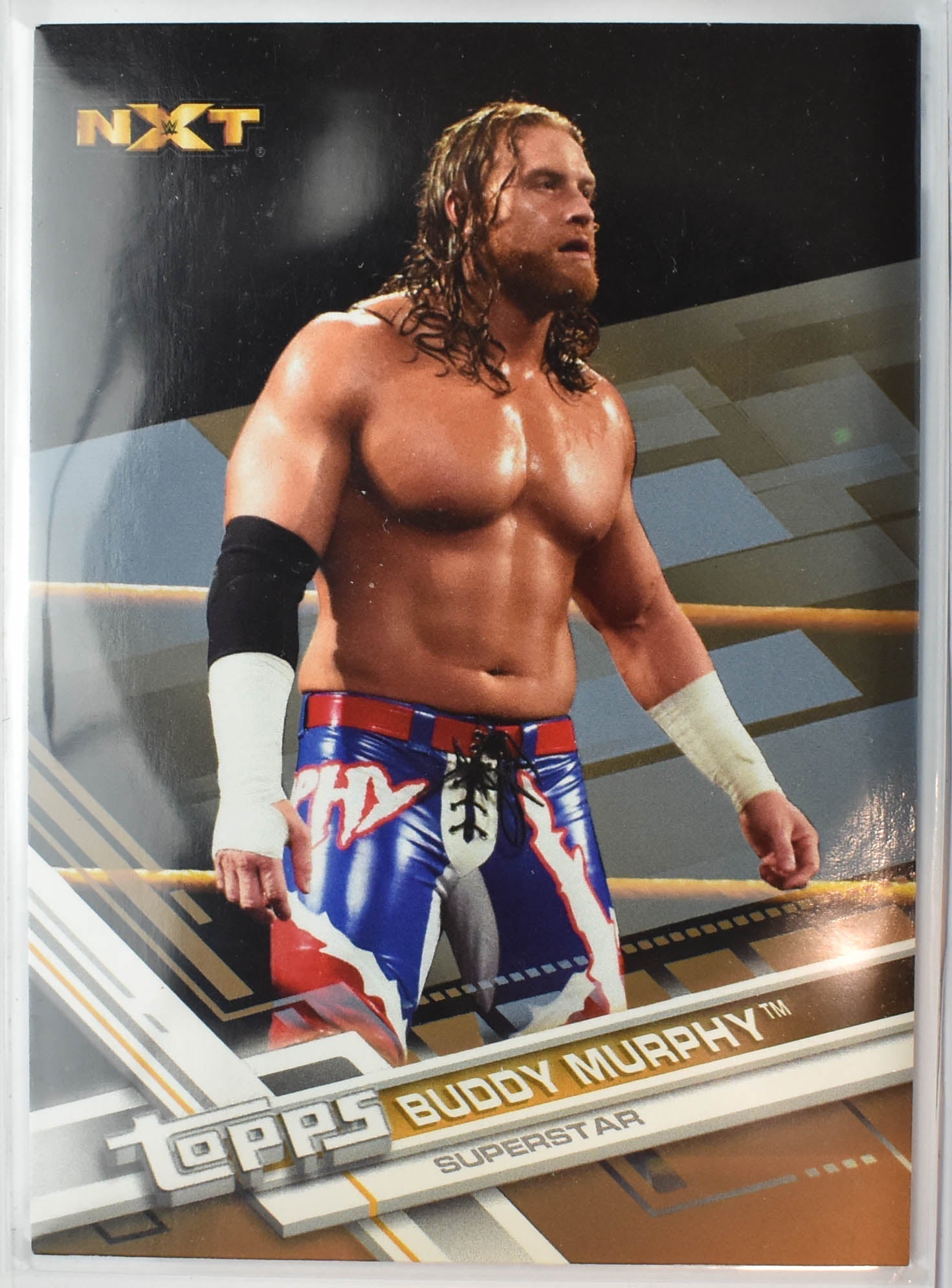 Buddy Murphy 168 Topps WWE Wrestling Card 2017