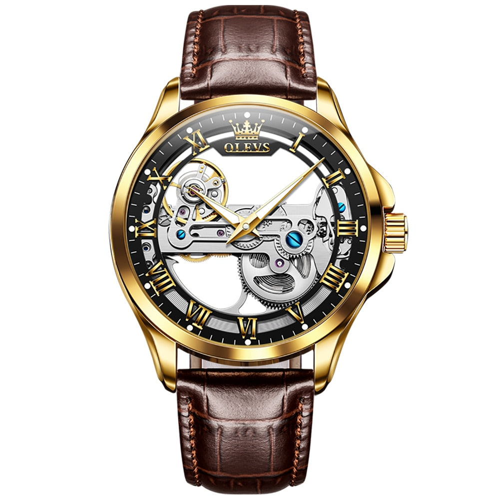 Top Brand Original Mechanical Watch for Men Automatic Skeleton Design Wristwatch Waterproof Leather Strap Watches Reloj Hombre